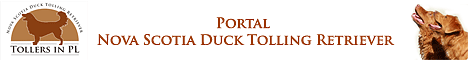 Link do portalu poświęconego rasie Nova Scotia Duck Tolling Retriever